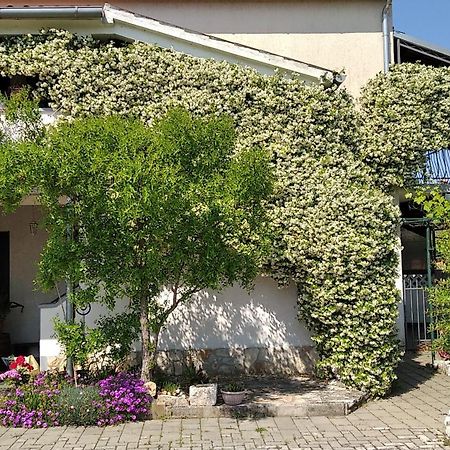 Apartment Sasa Bozac Poreč Exterior foto