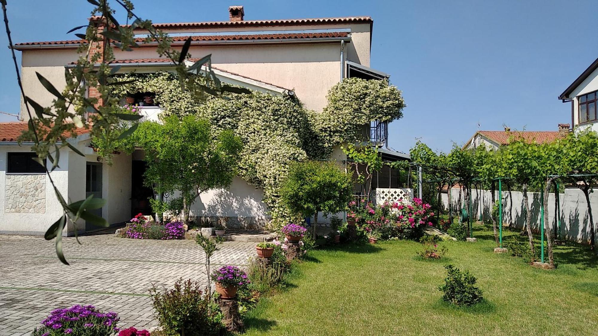 Apartment Sasa Bozac Poreč Exterior foto